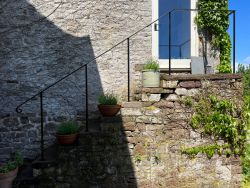 Handrail 63 Gallery