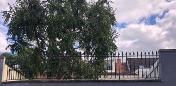 Railings 72